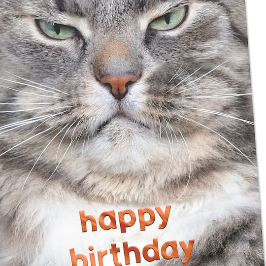 Hallmark Grouchy Cat Funny Birthday Card